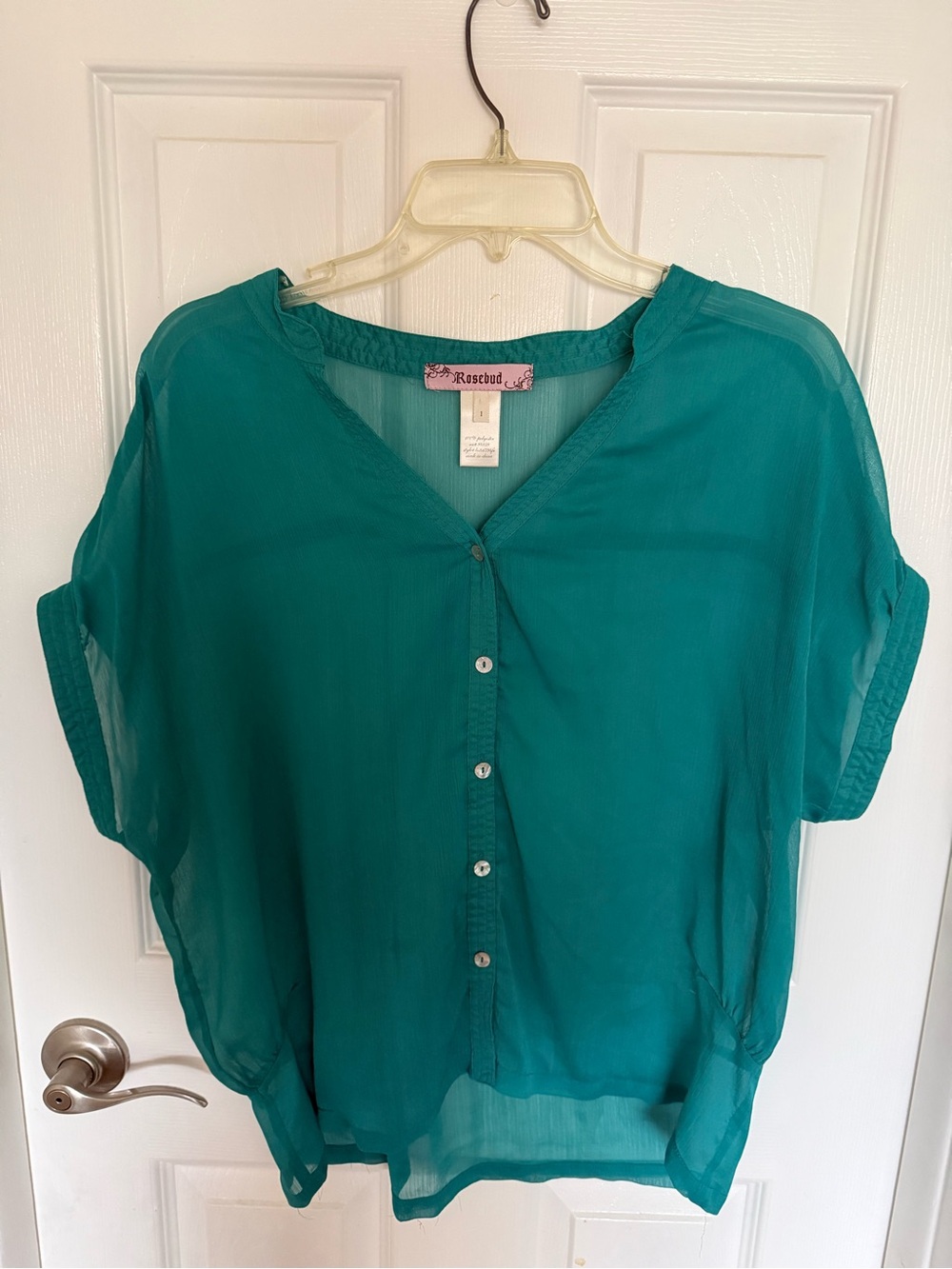 Rosebud Teal Button-Front Sheer Blouse
